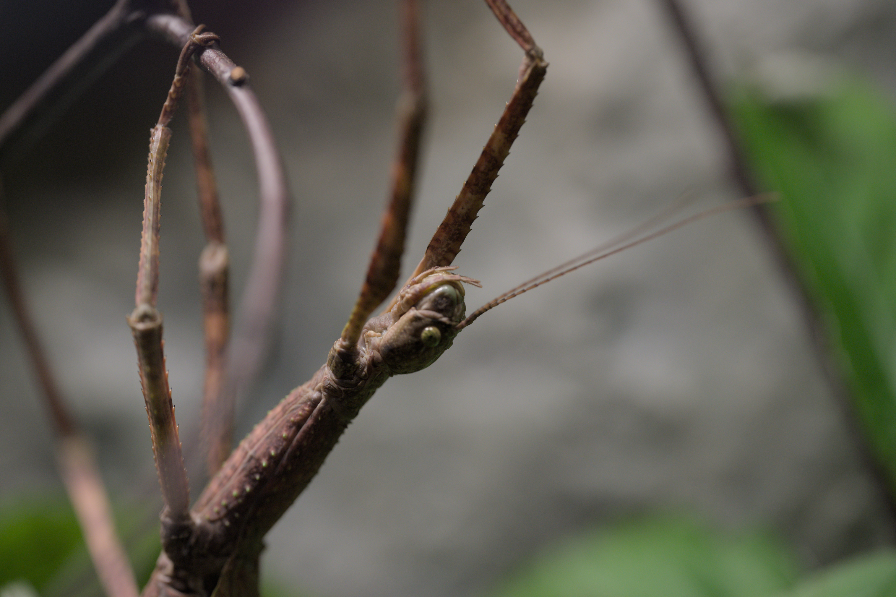 2025/10/12 - zoo/DSC_0198.jpg